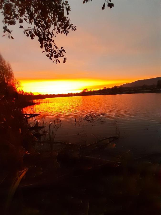 Ferienhaus Am Weserberglandsee Lauenforde 外观 照片